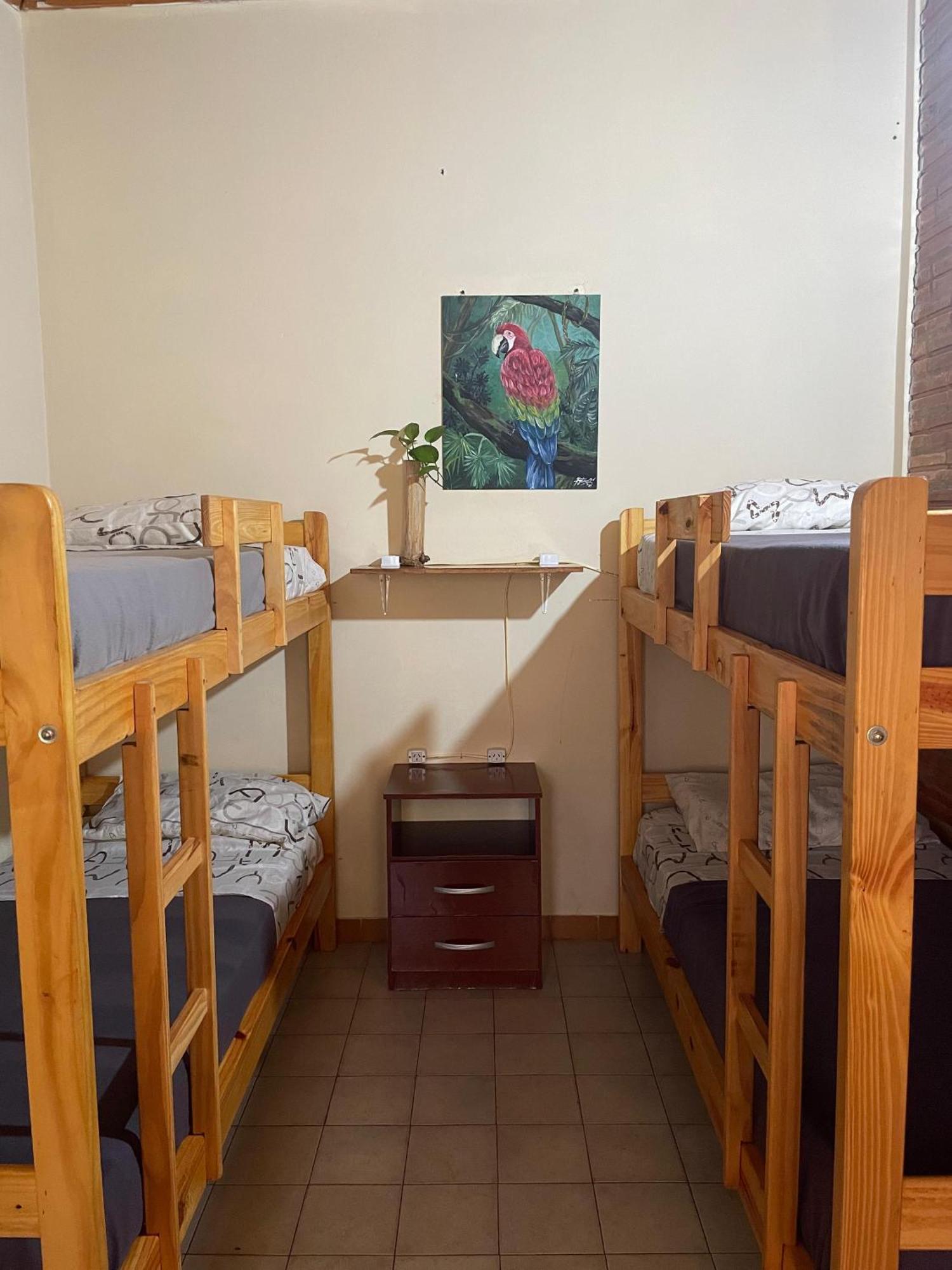 Bungalow Hostel Iguazu Puerto Iguazú Zewnętrze zdjęcie