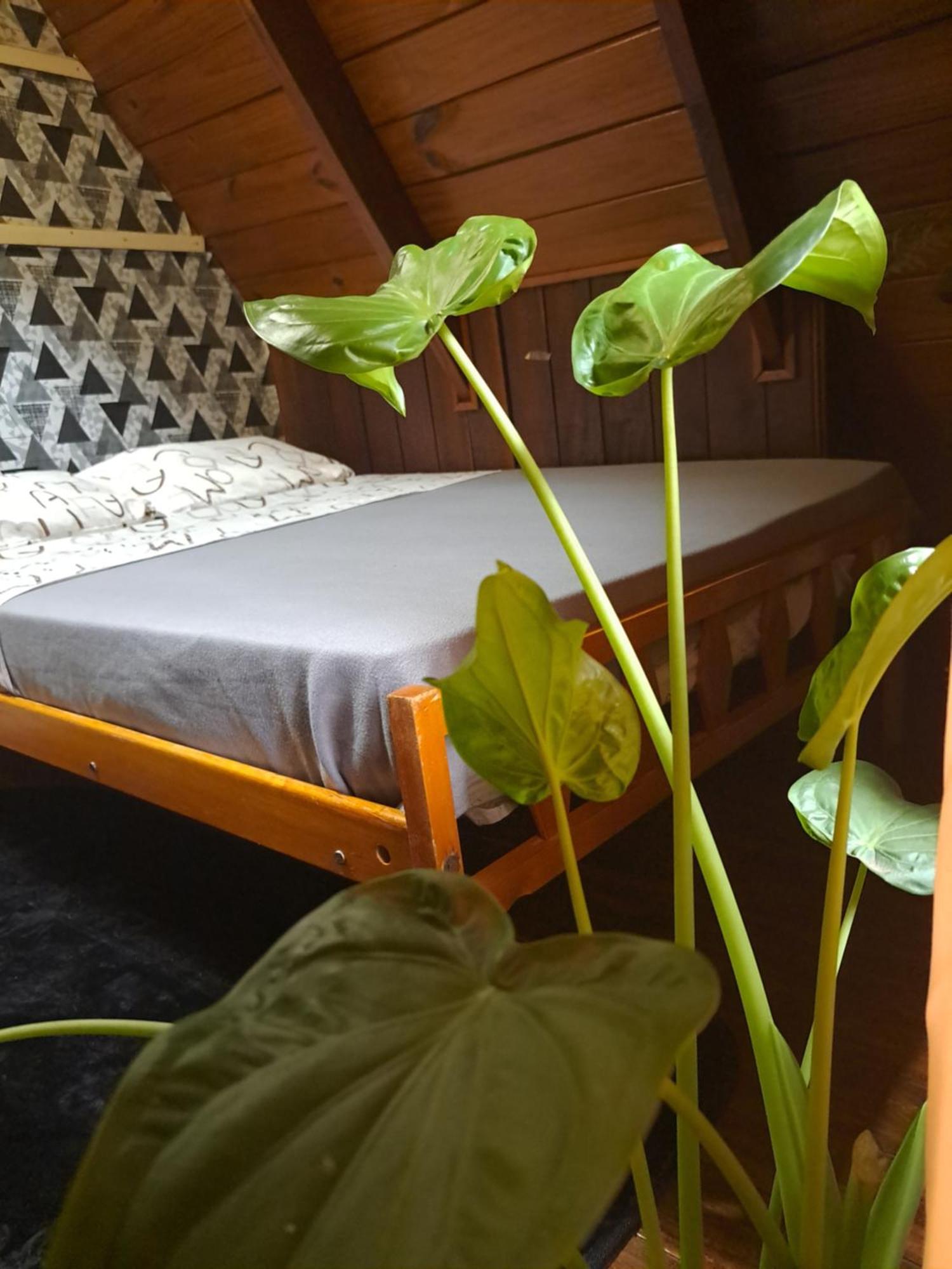 Bungalow Hostel Iguazu Puerto Iguazú Zewnętrze zdjęcie